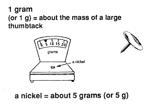 1 gram