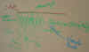 leaf_layers.JPG (341732 bytes)